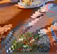 Painted Horse Cafe - Accommodation Whitsundays