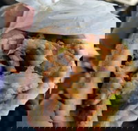 Alektor Charcoal  Grill - Accommodation Whitsundays