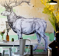 Elk Espresso - Accommodation Whitsundays