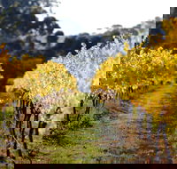 Prickly Moses Brewery - Accommodation Whitsundays