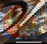 Shuk - Elizabeth Bay - Accommodation Whitsundays