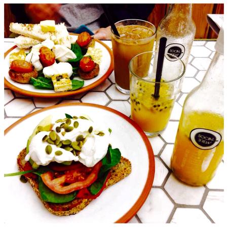 Social Brew Burleigh - Accommodation Whitsundays 0