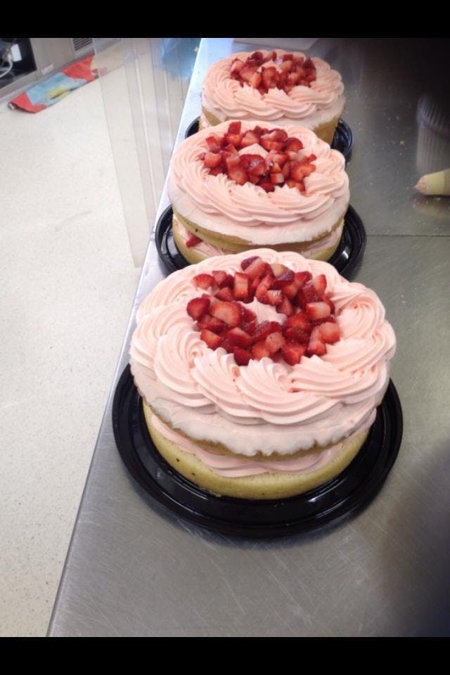 Bribie Island North QLD Accommodation Whitsundays