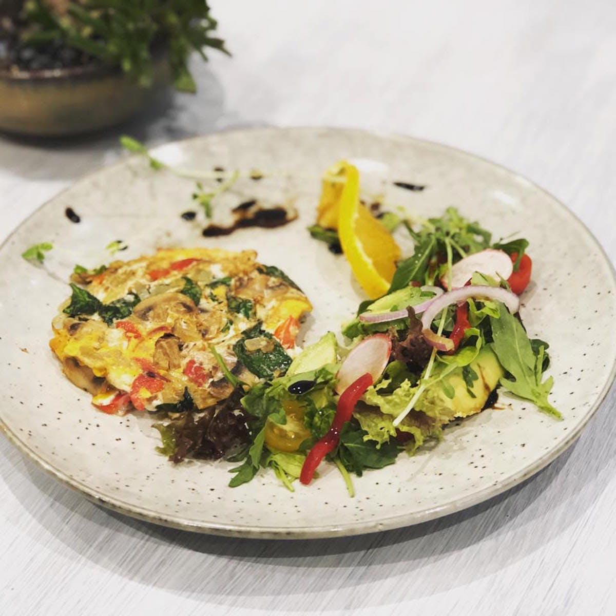 Homebush NSW Accommodation Whitsundays