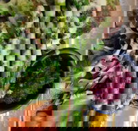 D For Dumplings - Accommodation Whitsundays