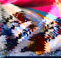 Donut King - Point Cook - Accommodation Whitsundays