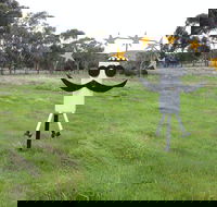 Heard it on the Grapevine - Accommodation Whitsundays