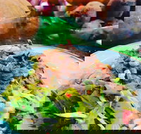 Salad Bar - Surry Hills - Accommodation Whitsundays