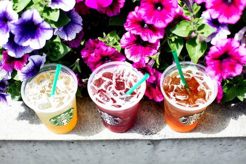 Starbucks - Mascot - Accommodation Whitsundays 0