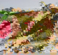 Sweet City - Accommodation Whitsundays