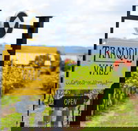 Tranquil Vale Vineyard - Accommodation Whitsundays