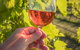 Breakfast Creek Vineyard - thumb 0