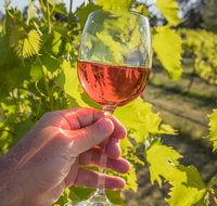 Breakfast Creek Vineyard - Accommodation Whitsundays