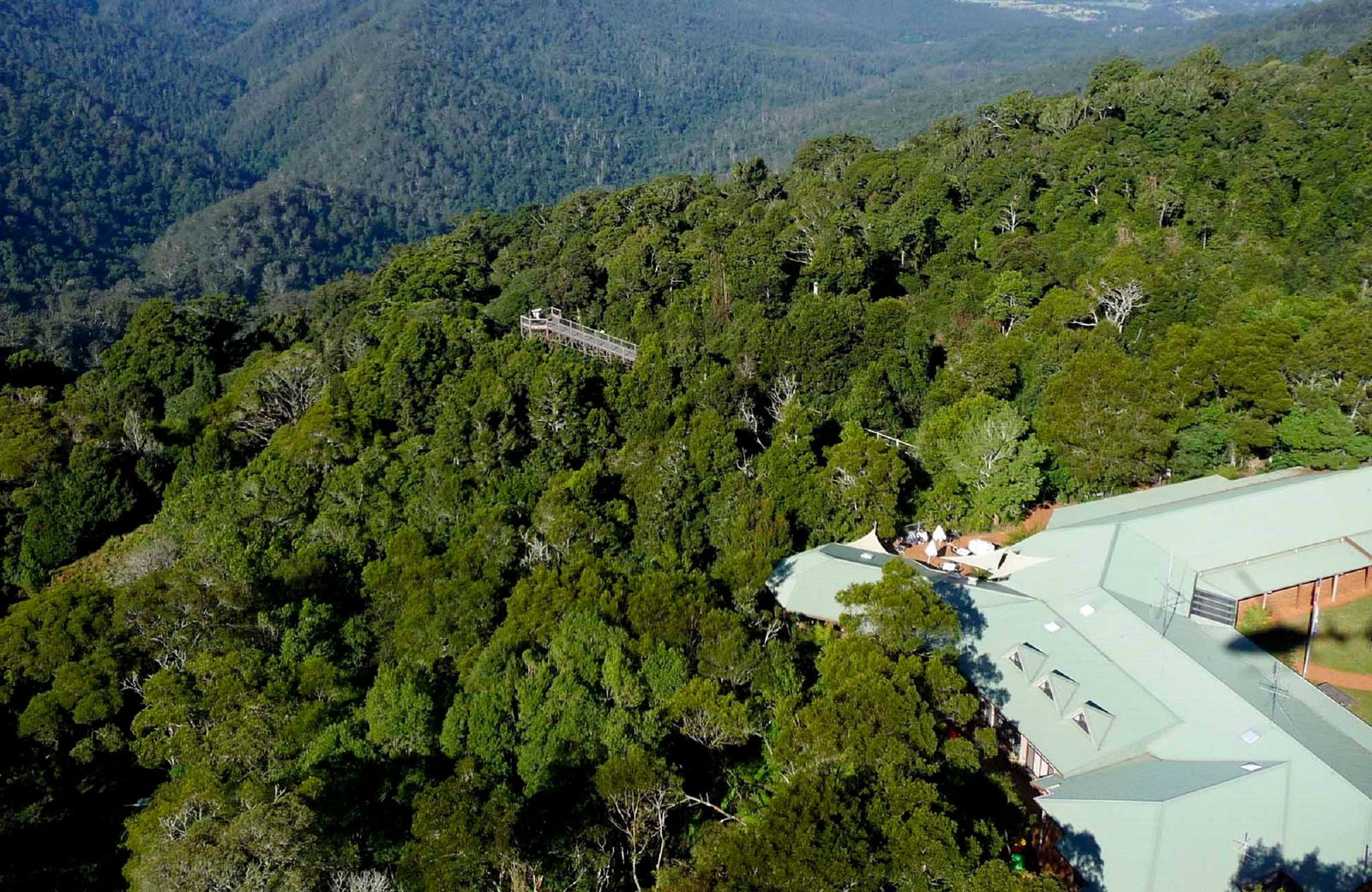 Dorrigo Mountain NSW Accommodation Whitsundays