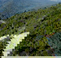 Canopy Cafe - Accommodation Whitsundays