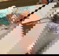 Coffee Mentality - Albion - Accommodation Whitsundays