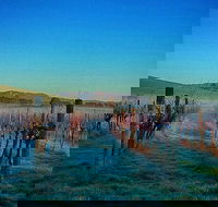 Eastern Peake Winery - Accommodation Whitsundays