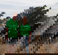 Milawa Organic Beef - Accommodation Whitsundays