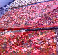 Pizza and Kebab on Bell - Accommodation Whitsundays