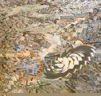 Salt. Coffee Roasters - Accommodation Whitsundays