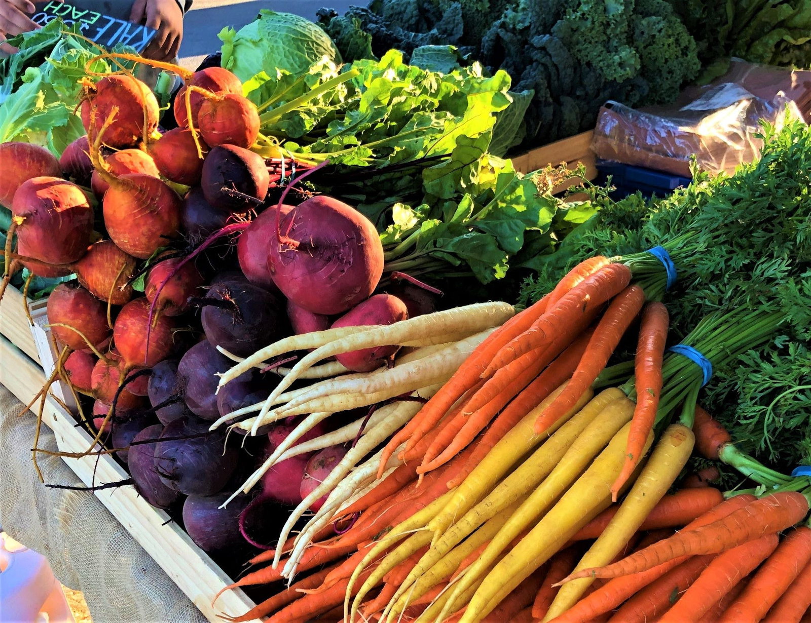 Angaston SA Accommodation Whitsundays