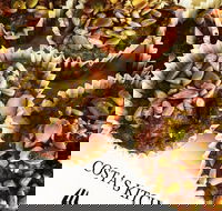 Long Island Brew Bar - Accommodation Whitsundays