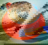 Phillips  Co - Accommodation Whitsundays