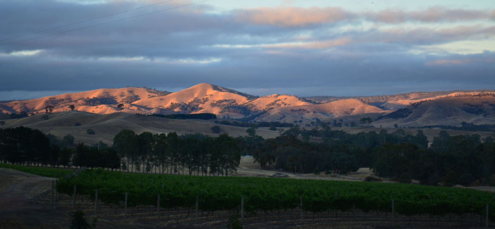 Homewood VIC Accommodation Whitsundays