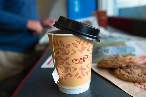 Wild Bean Cafe - Kingsford - Accommodation Whitsundays 0