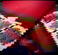 wokinabox - Sefton Park - Accommodation Whitsundays