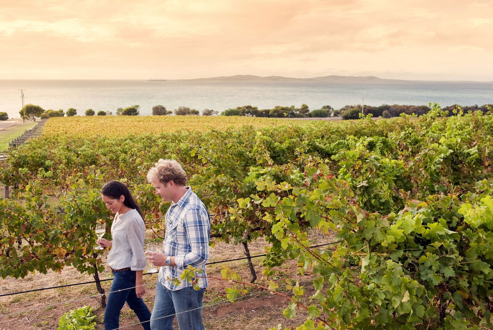 Point Boston SA Accommodation Whitsundays