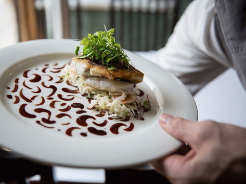 Grazing At Gundaroo - Accommodation Whitsundays 2