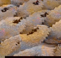 Miami Bakehouse Mandurah - Accommodation Whitsundays