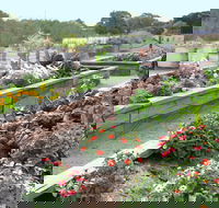 The Farmer's Place - Accommodation Whitsundays