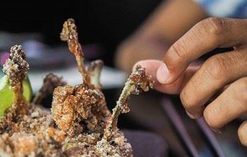 Cafe Froot - Accommodation Whitsundays 14