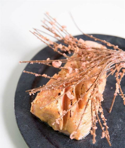 Cafe Froot - Accommodation Whitsundays 2