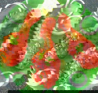 Coconut Lagoon Indian Cuisine - Accommodation Whitsundays