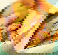 Mrs. Fields - Ringwood - Accommodation Whitsundays