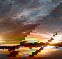 Old Lodge Gallery Emporium and River Cafe - Accommodation Whitsundays