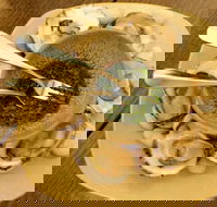 The Cottage Scone - Accommodation Whitsundays