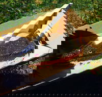 Byron Juice Bar - Accommodation Whitsundays