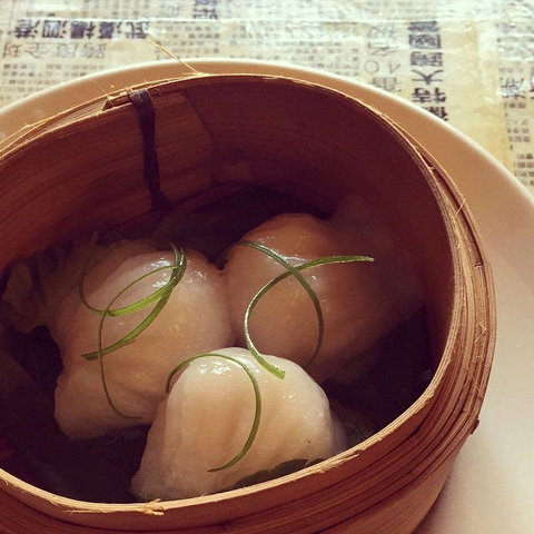 Dumplings & Beer - Potts Point - Accommodation Whitsundays 0