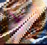 Haci's Kebabs Food Truck - Accommodation Whitsundays