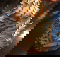 Mocha Bella - Accommodation Whitsundays