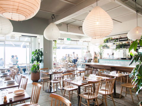 North Bondi Fish - Accommodation Whitsundays 1