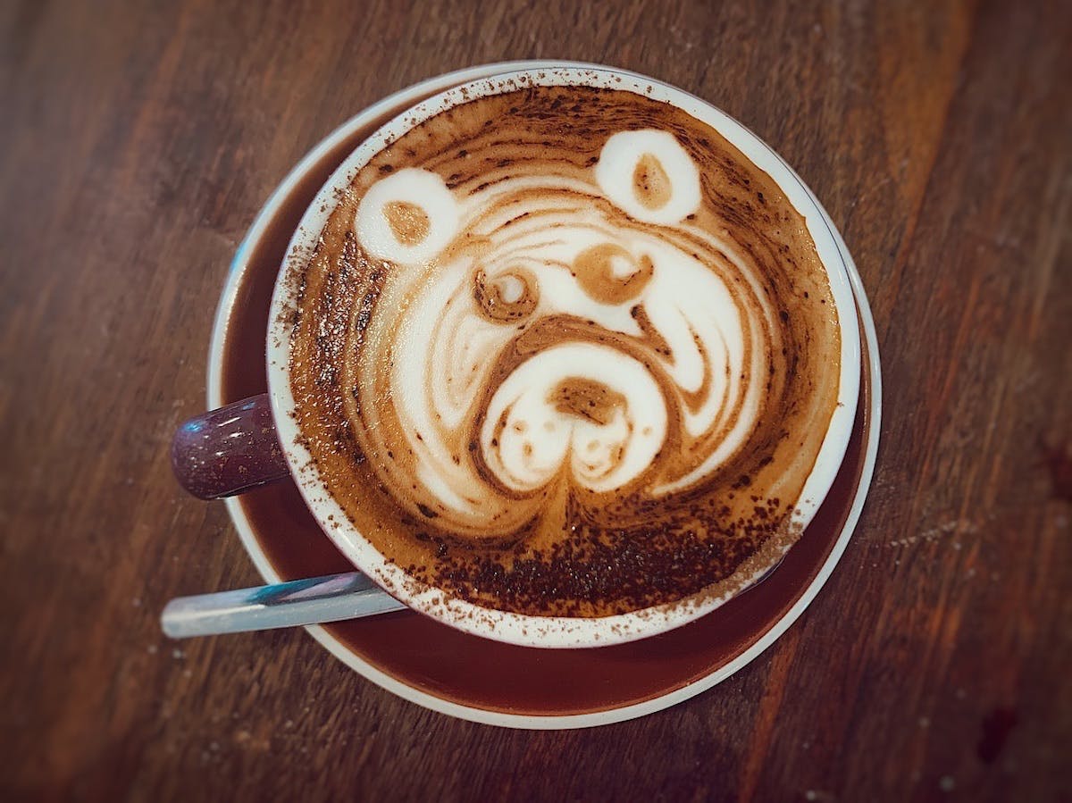 North Tamborine QLD Accommodation Whitsundays