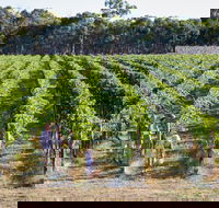 Weathercraft Wines - Accommodation Whitsundays