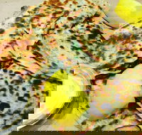 Gozleme King - Blacktown - Accommodation Whitsundays