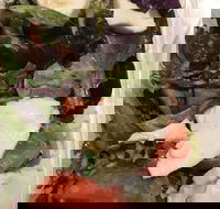 Ragazzi - Accommodation Whitsundays