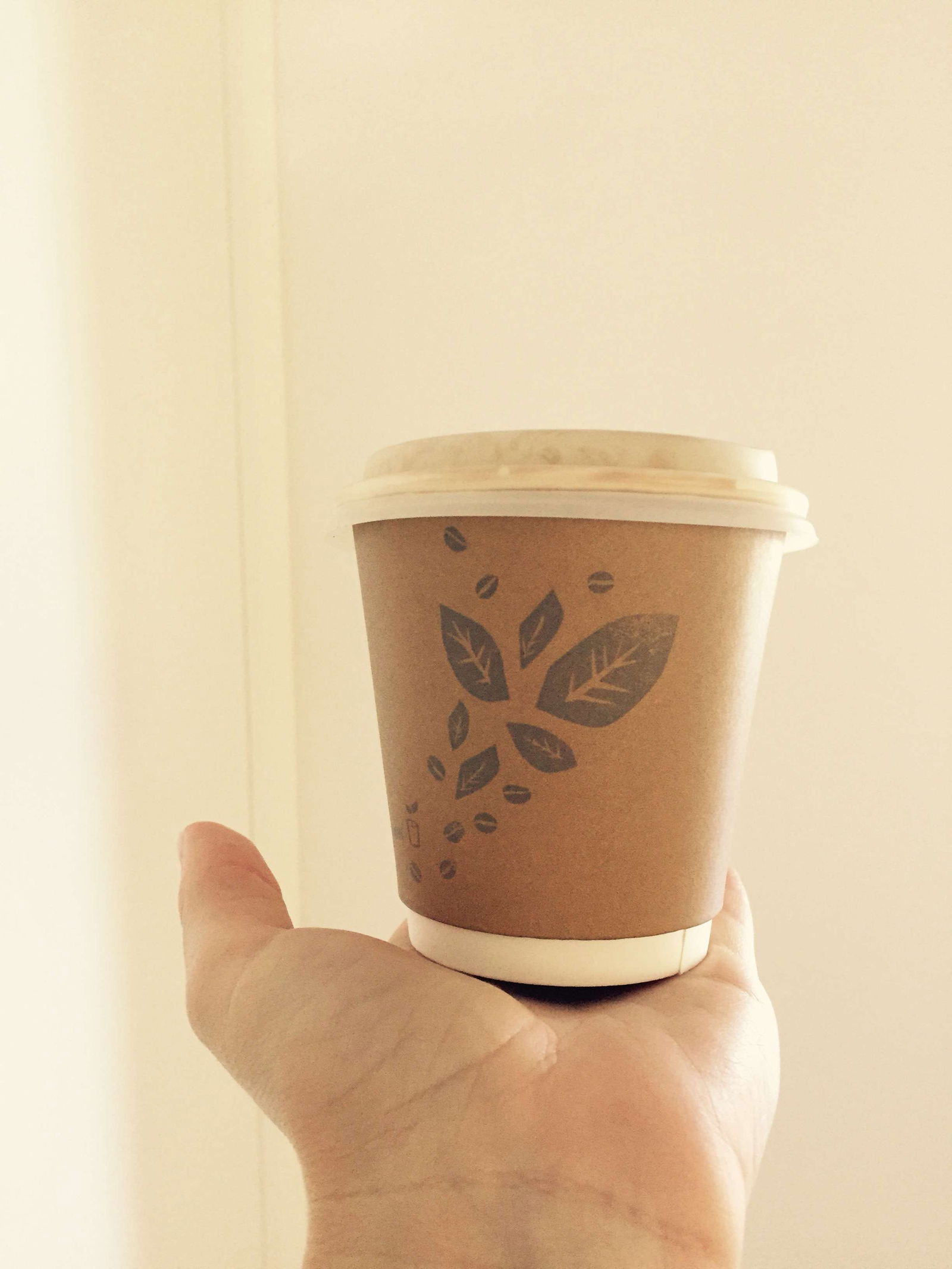 Montello TAS Accommodation Whitsundays